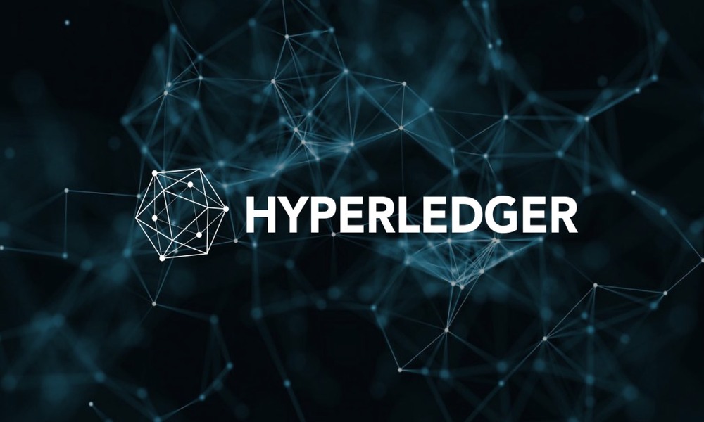 What Is Hyperledger? All Things You Need to Know